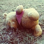 dropped-pooh-bear