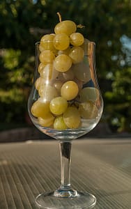 wine grapes