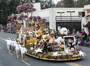 Tournament of Roses