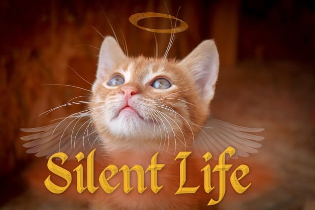 silent-life