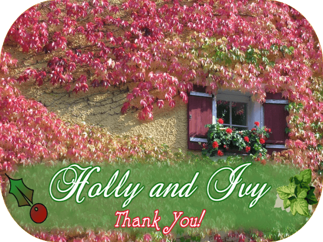 holly-and-ivy-thank-you