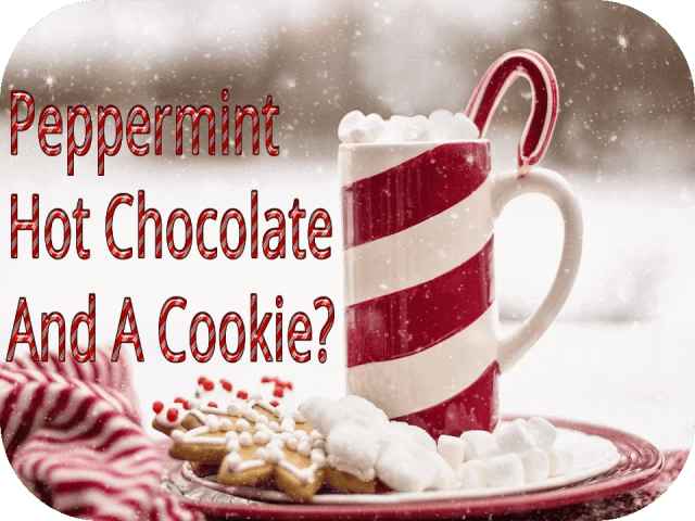 Peppermint Hot Chocolate And A Cookie?