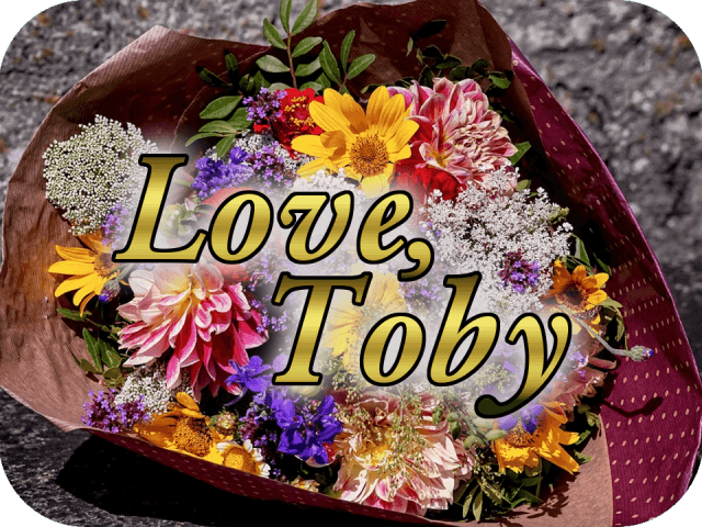 Love, Toby