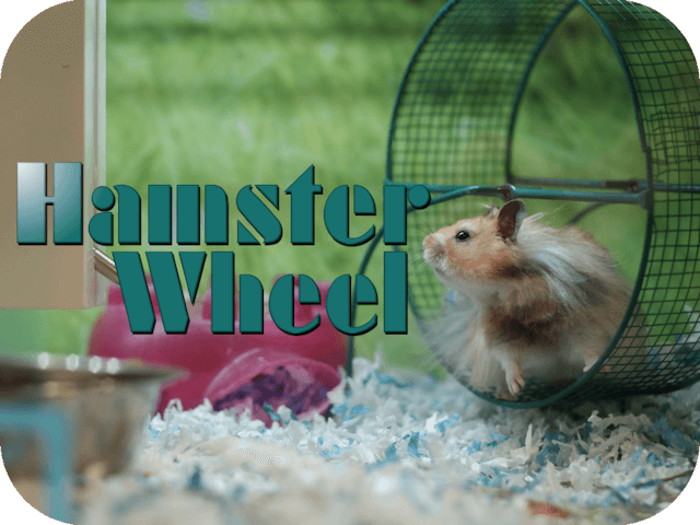 Hamster Wheel