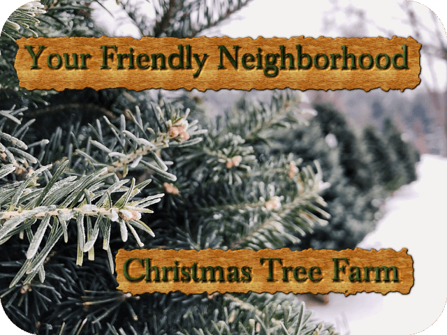 Your Friendly Neighborhood Christmas Tree Farm